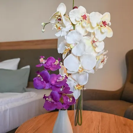 Novo Premium By As Göttingen