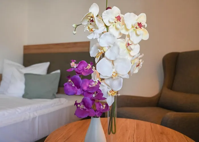 Novo Premium By As Göttingen